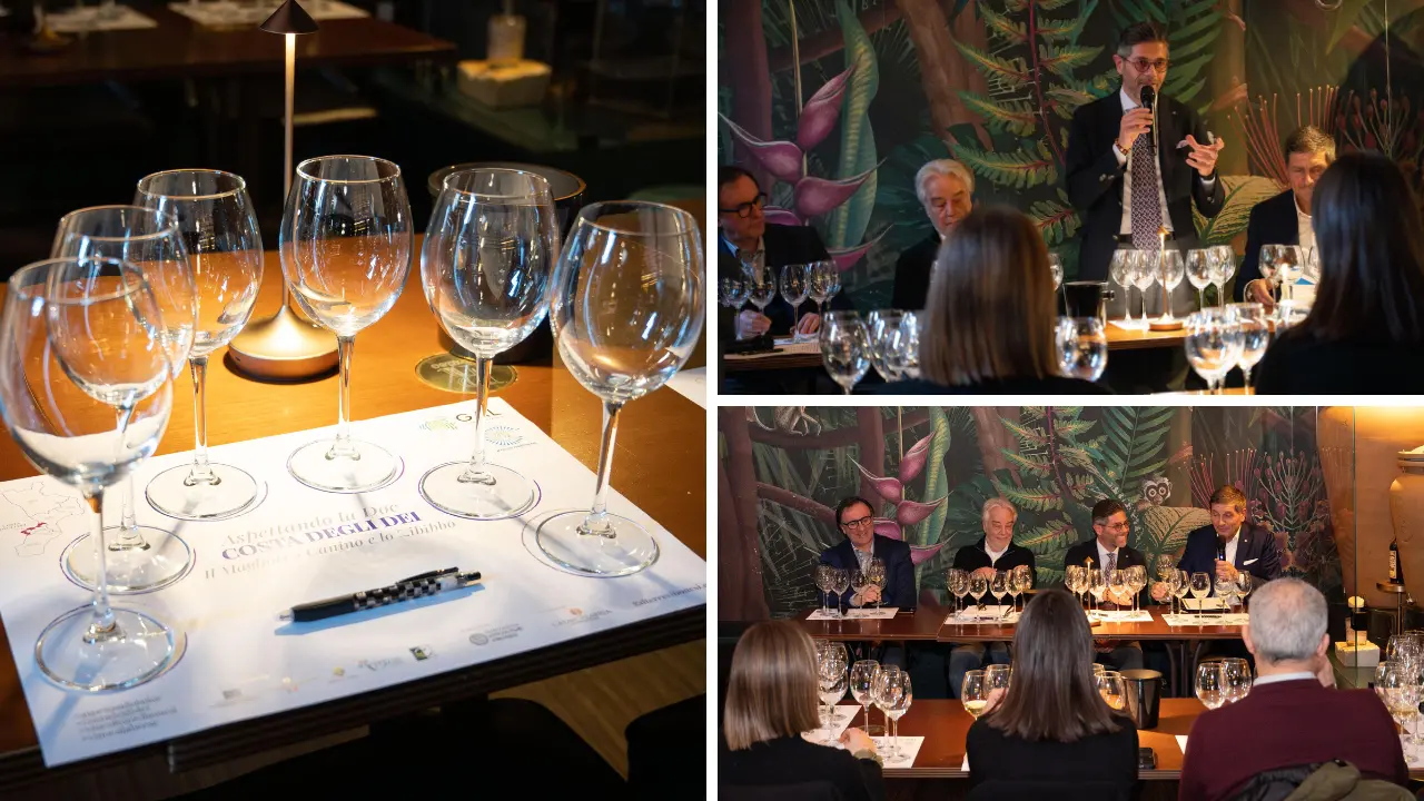 Magliocco canino e Zibibbo conquistano il Veneto: i vini della Costa degli Dei a Verona aspettando la Doc