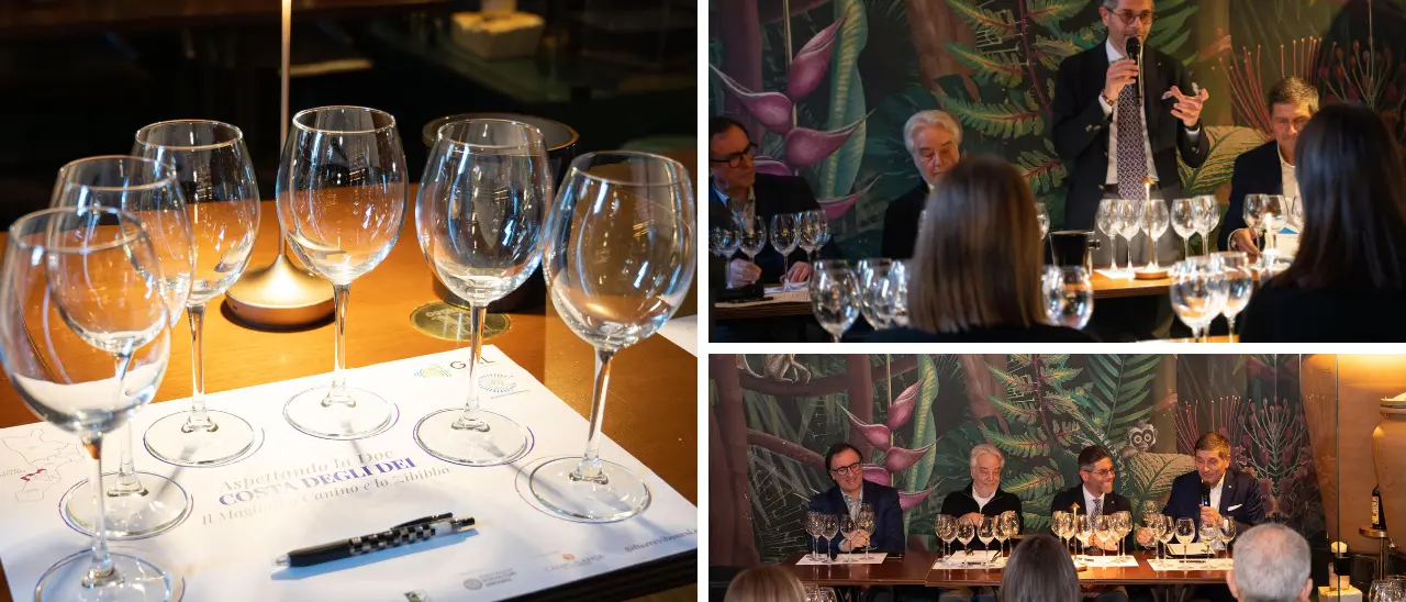 Magliocco canino e Zibibbo conquistano il Veneto: i vini della Costa degli Dei a Verona aspettando la Doc