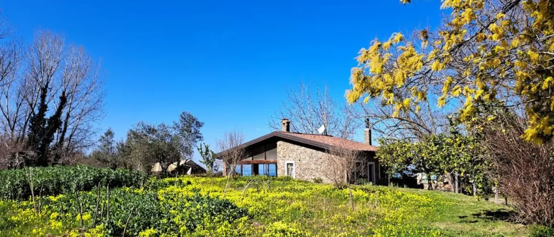 Vibo, La goccia continuerà ad accogliere i minori con problemi di giustizia: «Progetto di grande rilevanza umana e sociale»