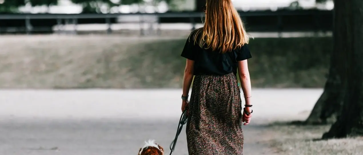 Vibo, multe fino a mille euro per chi non pulisce dove il proprio cane sporca: la stretta del Comune