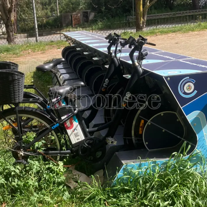 Il bike sharing a Vibo è uno scempio a cielo aperto: bici sparite o tra i rovi per un servizio pagato e mai entrato in funzione