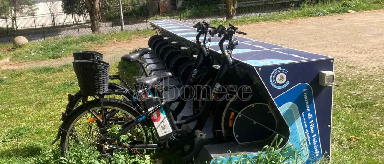 Il bike sharing a Vibo è uno scempio a cielo aperto: bici sparite o tra i rovi per un servizio pagato e mai entrato in funzione