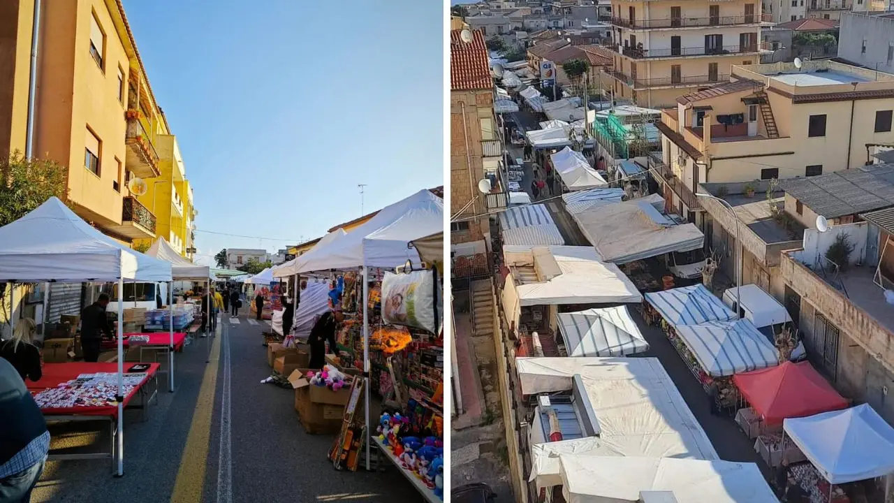 «Vietare la vendita di animali, serve un segnale di civiltà»: la Lav scrive al Comune di Tropea in vista della Fiera dell'Annunziata