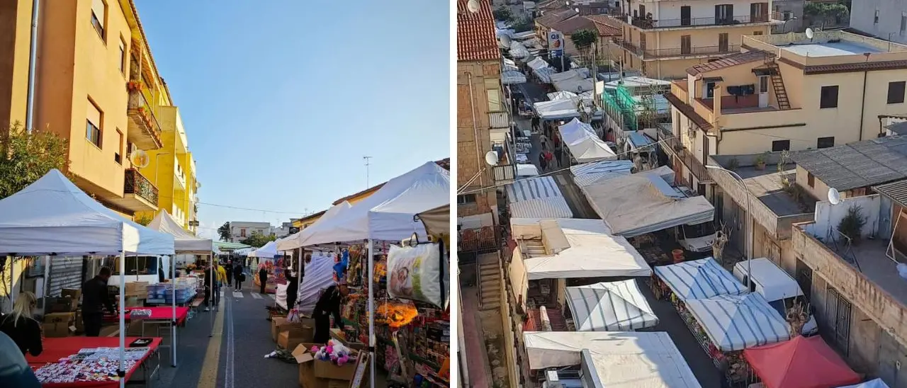 «Vietare la vendita di animali, serve un segnale di civiltà»: la Lav scrive al Comune di Tropea in vista della Fiera dell'Annunziata