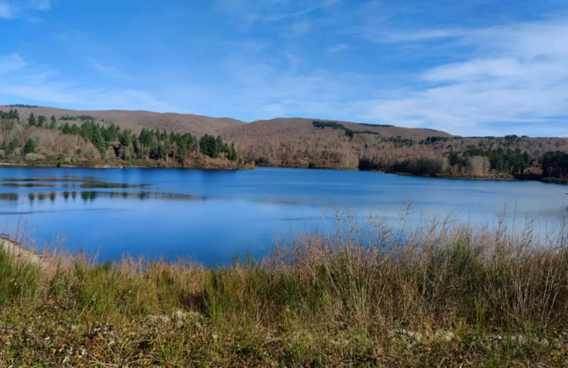 Dal lago Metramo al bagno nella foresta: l'escursione di Vivi Serra San Bruno tra storia, natura e... ingegneria