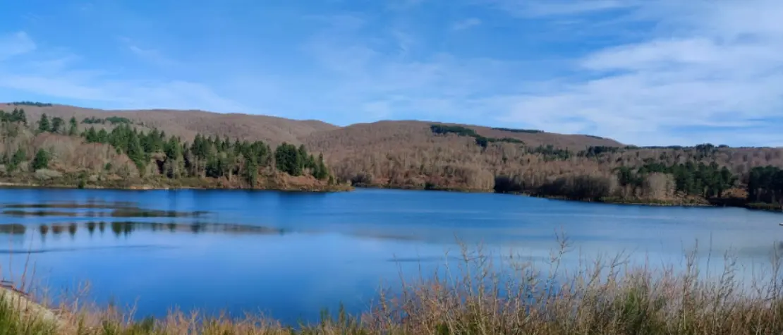 Dal lago Metramo al bagno nella foresta: l'escursione di Vivi Serra San Bruno tra storia, natura e... ingegneria