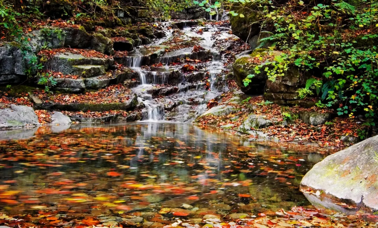 A Zambrone si lavora per realizzare un Museo diffuso dedicato all’acqua: pubblicato un bando per l’acquisizione di opere artistiche