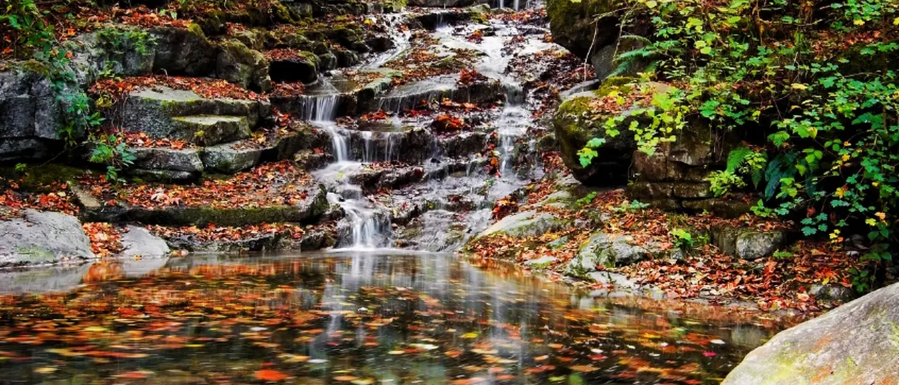 A Zambrone si lavora per realizzare un Museo diffuso dedicato all’acqua: pubblicato un bando per l’acquisizione di opere artistiche