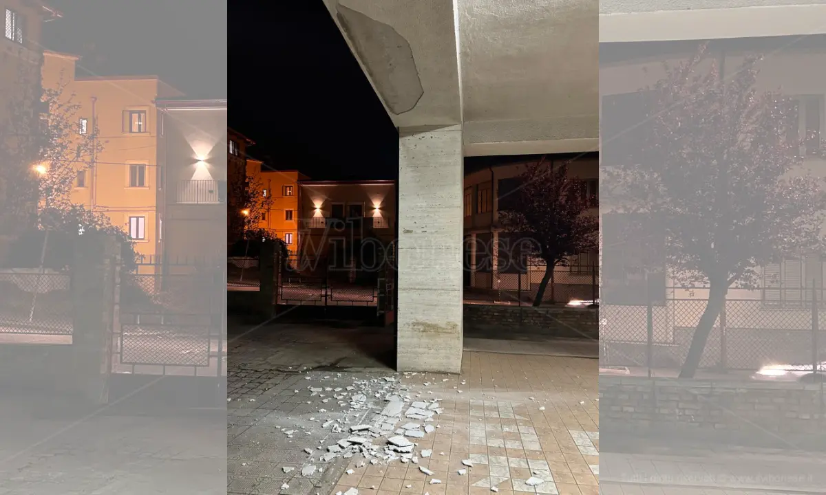 Sicurezza nelle scuole, la denuncia di Gioventù Nazionale Vibo: «Dalla Provincia solo silenzio» - VIDEO