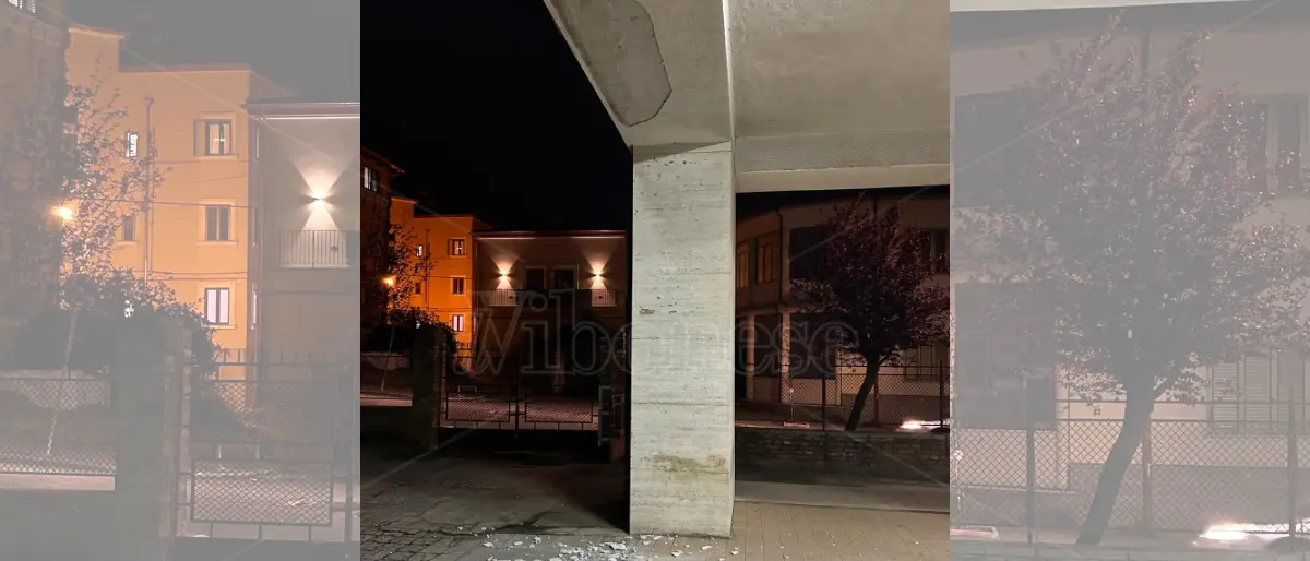 Sicurezza nelle scuole, la denuncia di Gioventù Nazionale Vibo: «Dalla Provincia solo silenzio» - VIDEO