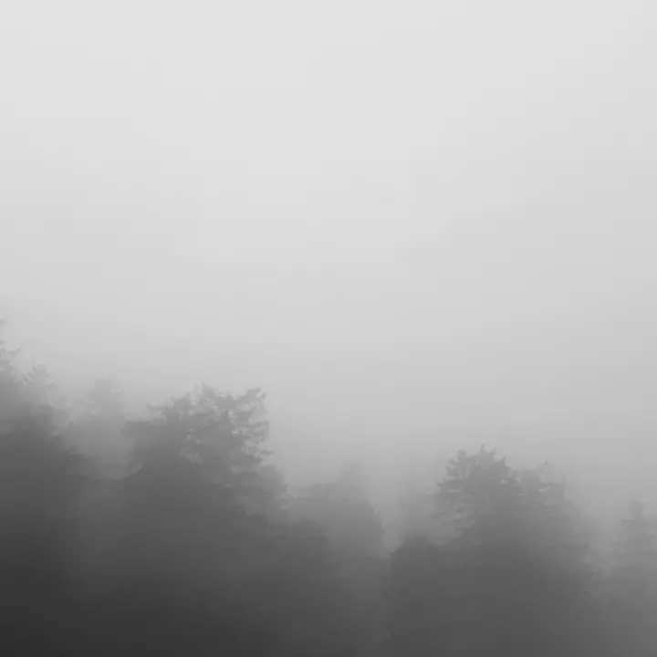 Vibonese avvolto dalla nebbia: l’alto tasso di umidità causa banchi molto fitti con visibilità di pochi metri