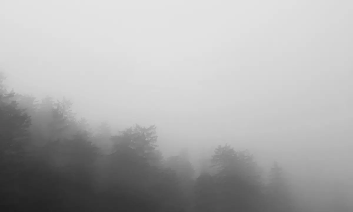 Vibonese avvolto dalla nebbia: l’alto tasso di umidità causa banchi molto fitti con visibilità di pochi metri