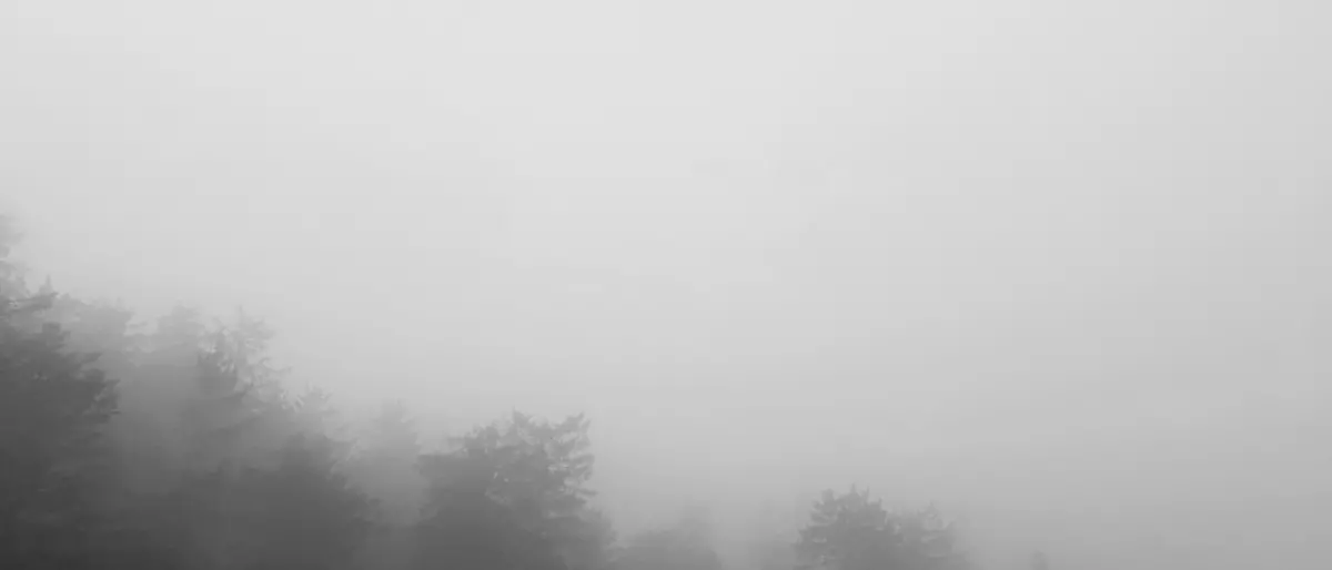 Vibonese avvolto dalla nebbia: l’alto tasso di umidità causa banchi molto fitti con visibilità di pochi metri