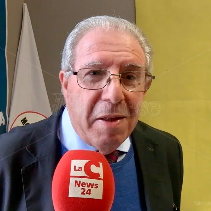 Nomina Menniti, Furci (M5s) al Pd: «Attendiamo di sapere se il loro dissenso è politico o frutto del caso»