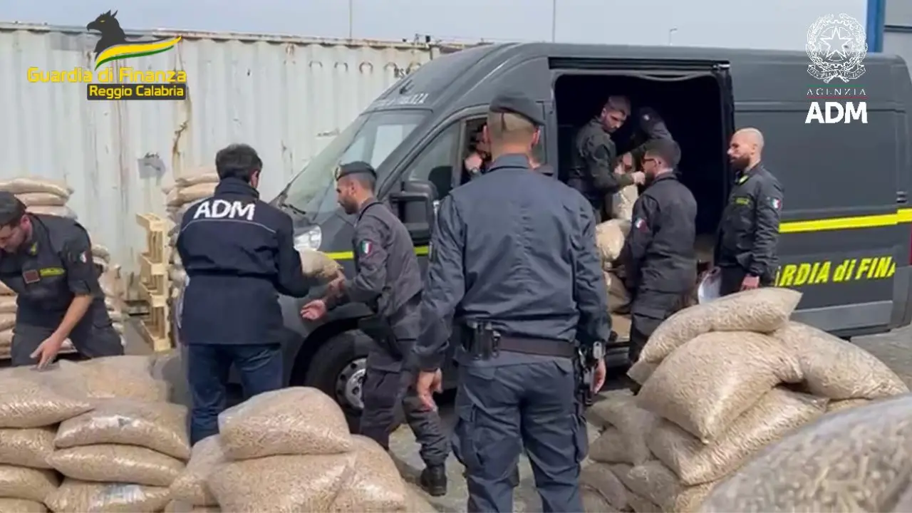 Maxi sequestro al Porto di Gioia Tauro: oltre una tonnellata di cocaina purissima nascosta in sacchi di pellet - VIDEO