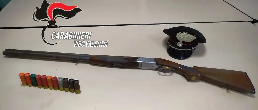Armi nascoste nei terreni, arresti dei carabinieri tra Dasà e Dinami
