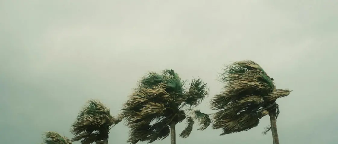 Venti di burrasca sul Vibonese, la Protezione civile emette un’allerta per raffiche violente e mareggiate
