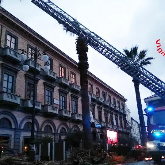 Rami pericolanti a Vibo in piazza Garibaldi, intervento dei vigili del fuoco