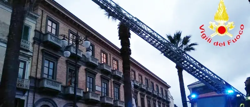 Rami pericolanti a Vibo in piazza Garibaldi, intervento dei vigili del fuoco