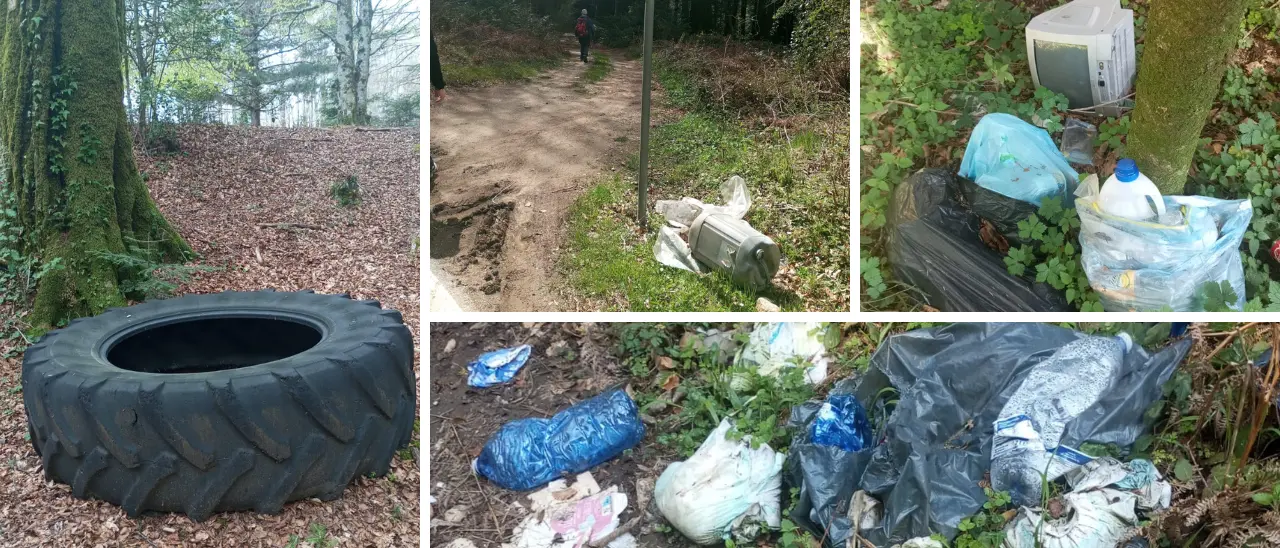 Serra, la denuncia di IncrociaMenti: «Patrimonio naturalistico sfregiato da gente senza scrupoli nel silenzio assordante di tutti»