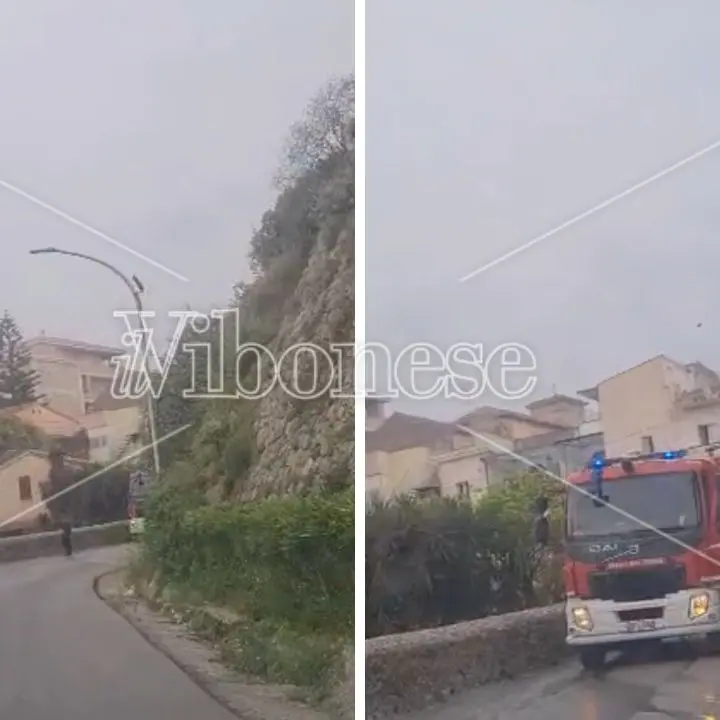 Tropea, a fuoco un albero in contrada Marina Vescovado: intervento tempestivo dei pompieri che evitano il propagarsi del rogo