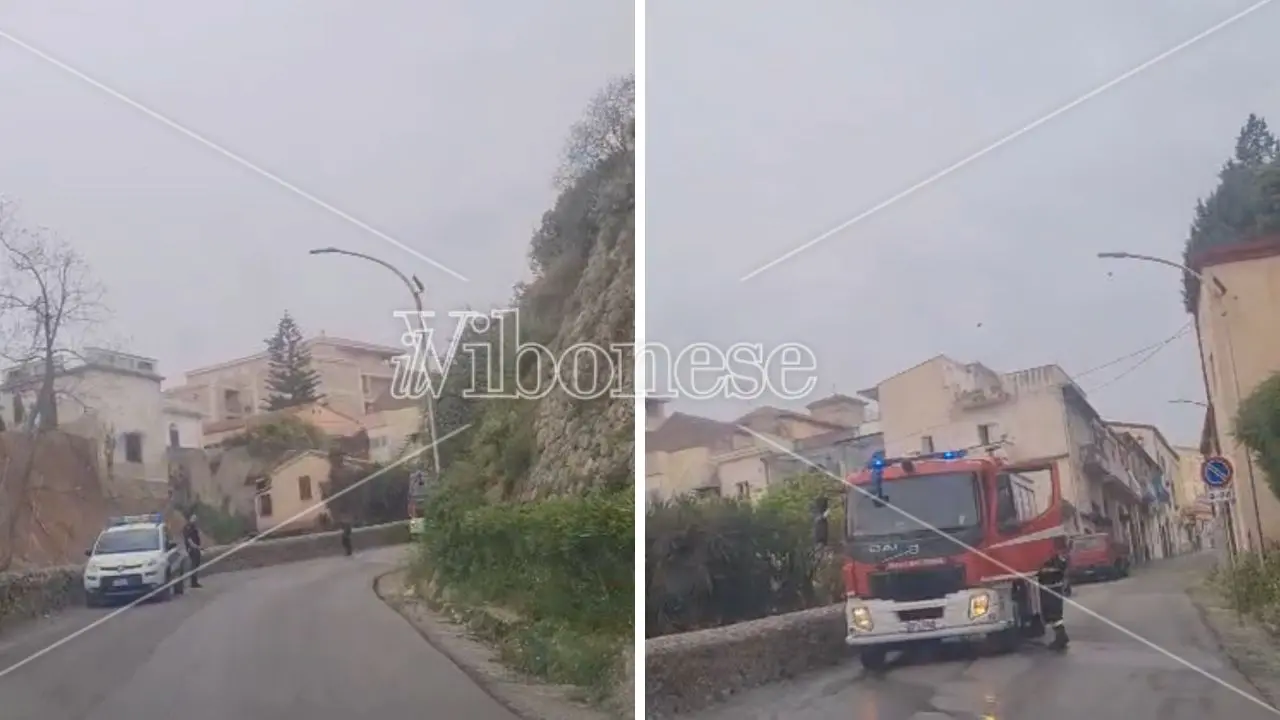 Tropea, a fuoco un albero in contrada Marina Vescovado: intervento tempestivo dei pompieri che evitano il propagarsi del rogo