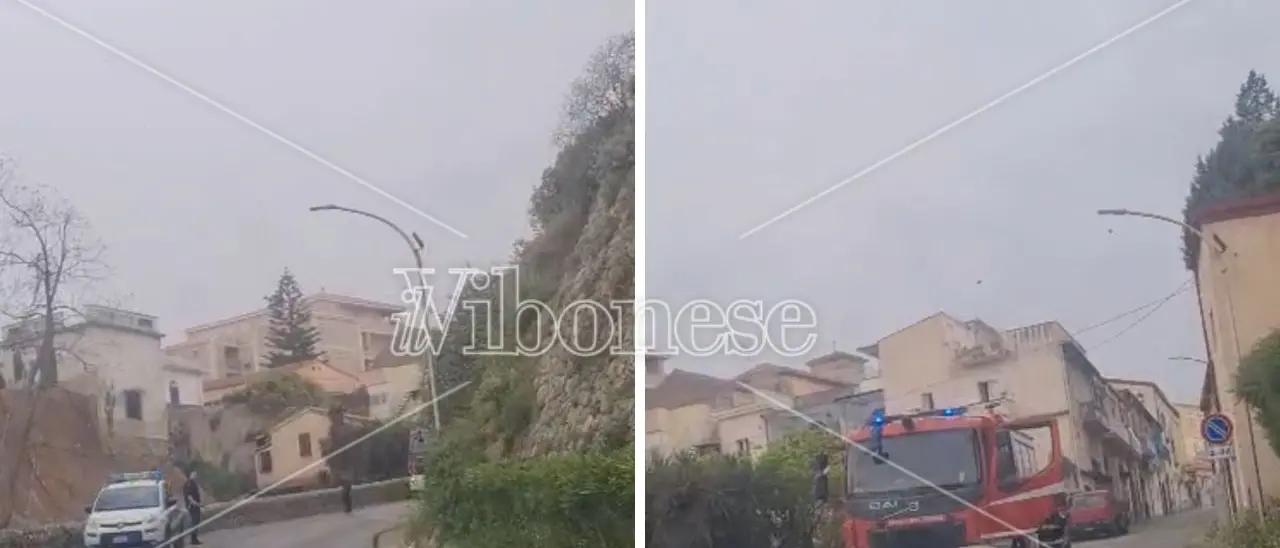 Tropea, a fuoco un albero in contrada Marina Vescovado: intervento tempestivo dei pompieri che evitano il propagarsi del rogo