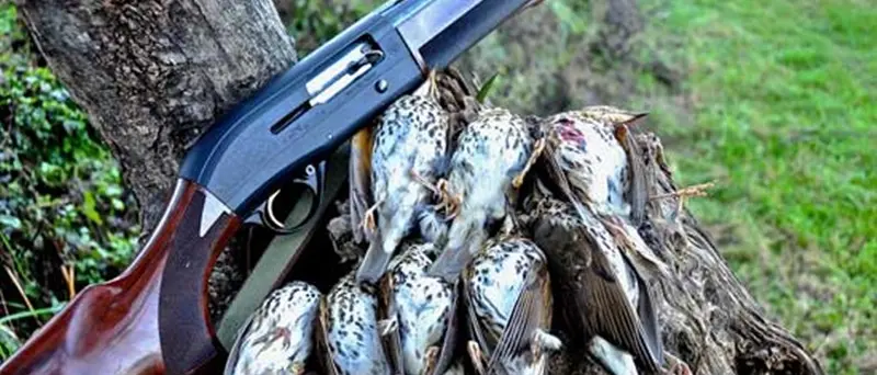 Caccia: completata la costituzione degli Atc del Vibonese