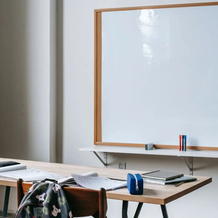 I risultati delle elezioni Rsu negli istituti scolastici del Vibonese: la Cisl si afferma come la più votata con 1733 voti