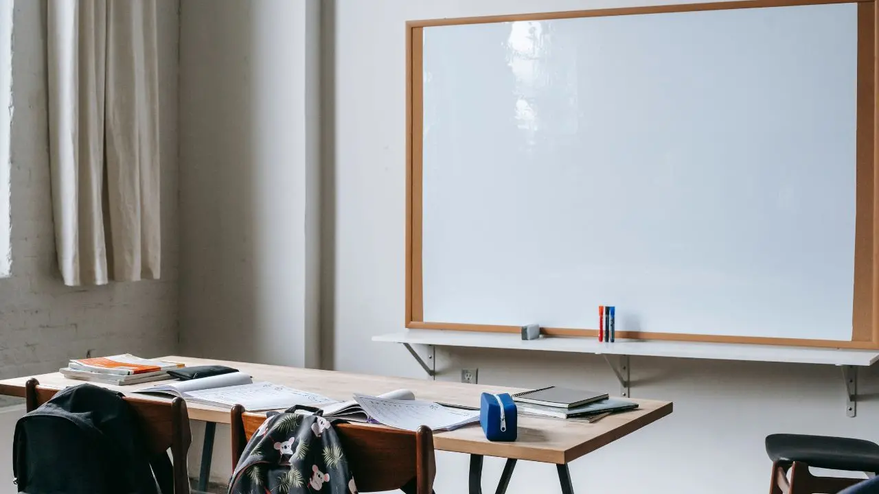 I risultati delle elezioni Rsu negli istituti scolastici del Vibonese: la Cisl si afferma come la più votata con 1733 voti