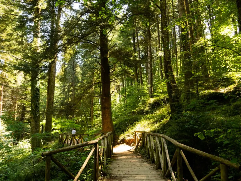 Tolleranza zero per chi sporca il Parco Regionale delle Serre: multe fino a 18mila euro e nei casi più gravi scatta l'arresto