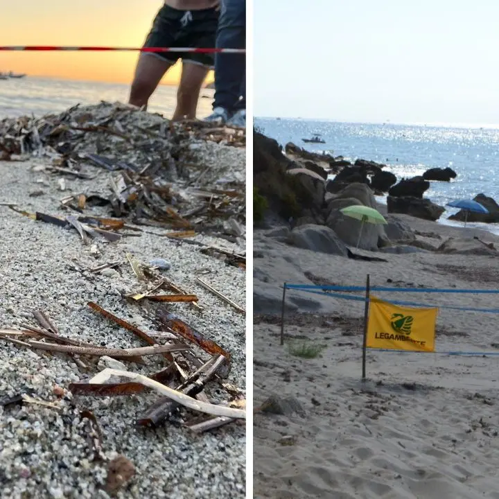 Tropea diventa \"Comune amico delle tartarughe marine\" grazie all'intesa con Legambiente per la tutela dei siti di nidificazione