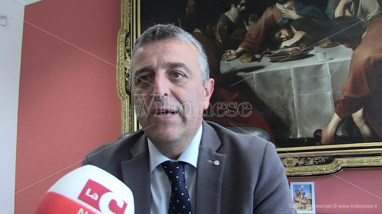 Vibo, Forza Italia apre (quasi) la crisi alla Provincia: scarica L'Andolina ma voterà il bilancio