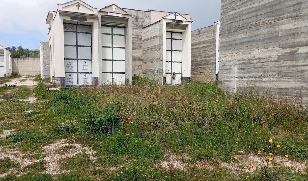 Sant’Onofrio, l’ex consigliere Mattioli denuncia: «Sterpaglie e degrado al cimitero, s’intervenga»