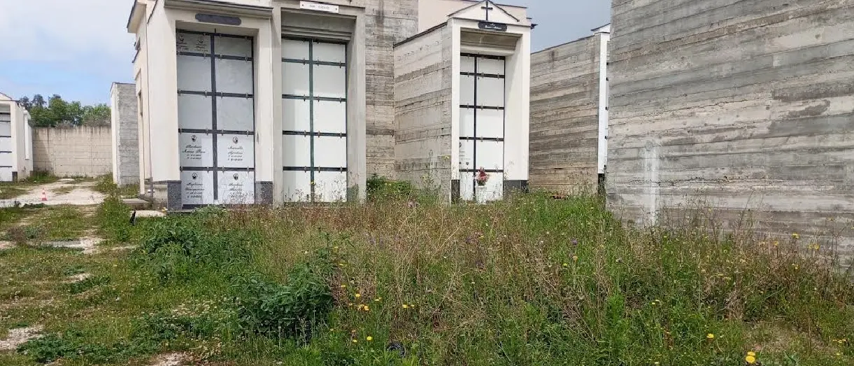 Sant’Onofrio, l’ex consigliere Mattioli denuncia: «Sterpaglie e degrado al cimitero, s’intervenga»