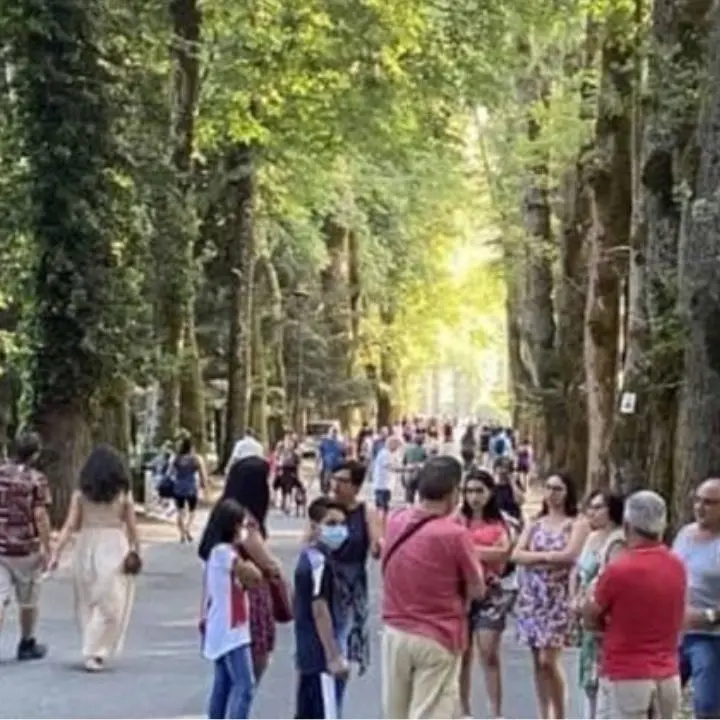 Serra San Bruno, il viale della Certosa tornerà ad essere pedonale. Disposta l’ordinanza dal sindaco Barillari