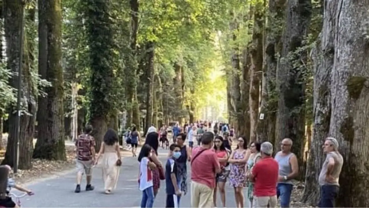 Serra San Bruno, il viale della Certosa tornerà ad essere pedonale. Disposta l’ordinanza dal sindaco Barillari
