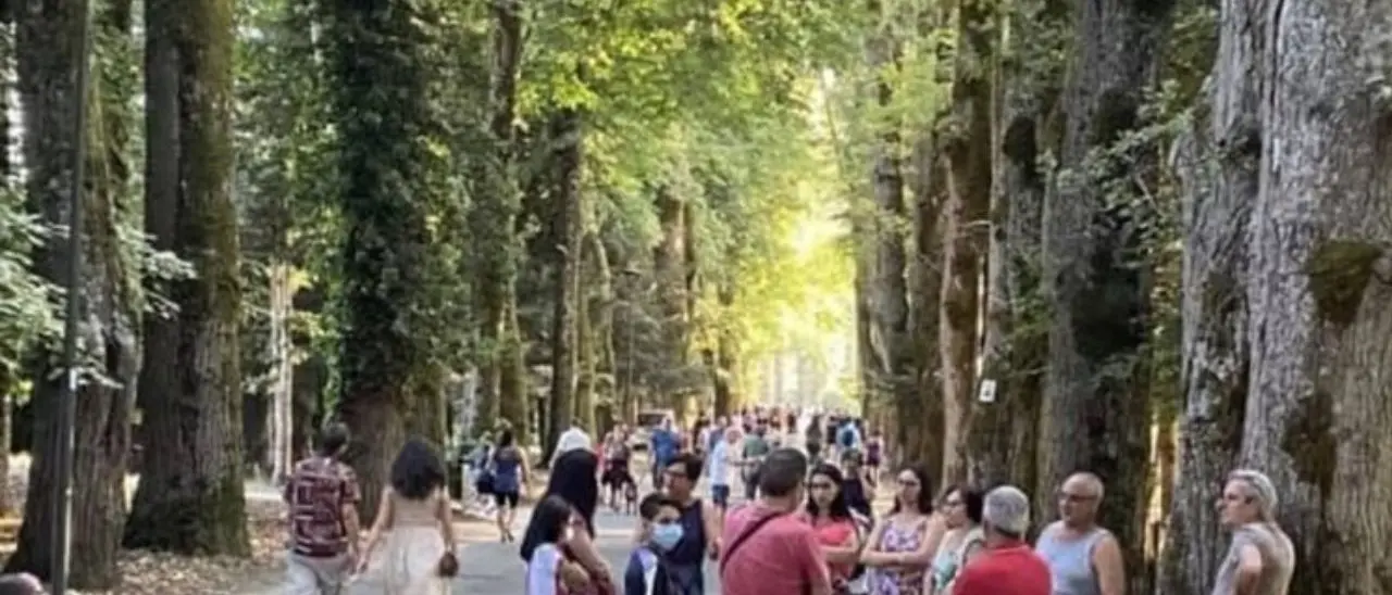 Serra San Bruno, il viale della Certosa tornerà ad essere pedonale. Disposta l’ordinanza dal sindaco Barillari