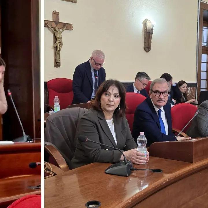 Caso Talarico, Nesci prova a far votare il Consiglio sulla presunta incompatibilità ma il sindaco chiude i giochi: «È e resta assessore»