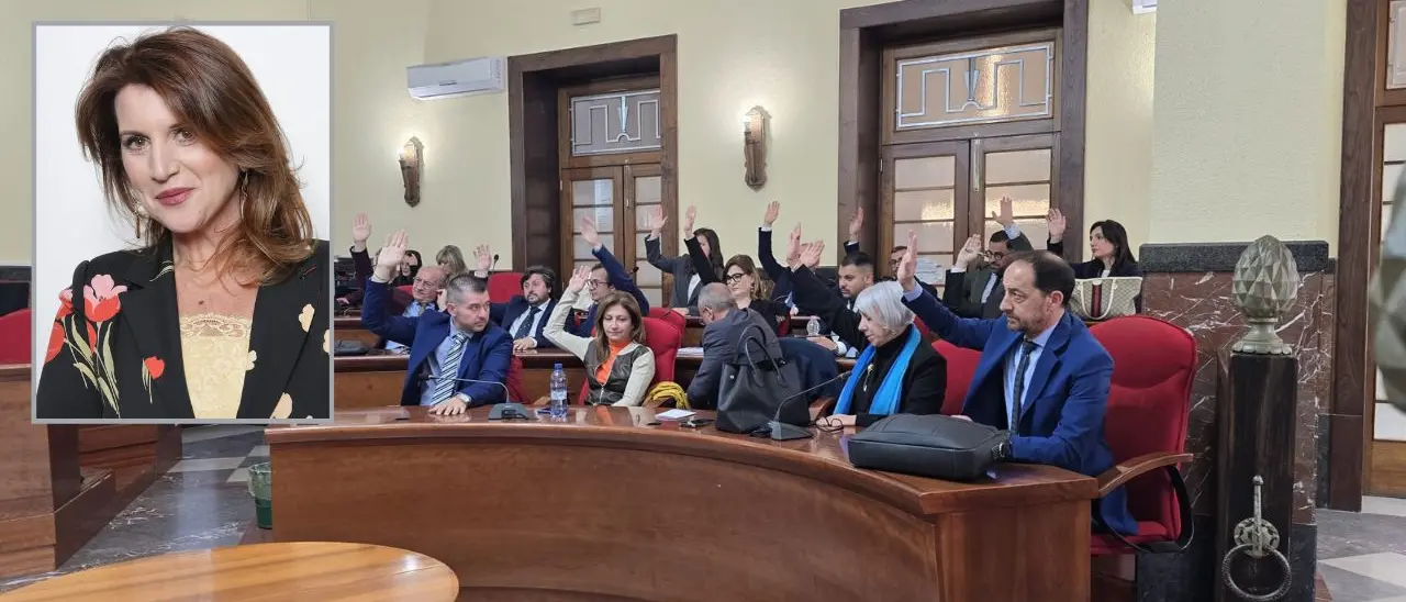 «Inciucio con Romeo, Forza Italia ha tradito i suoi elettori»: l’attivista azzurra Pianura contro la decisione di votare il consuntivo