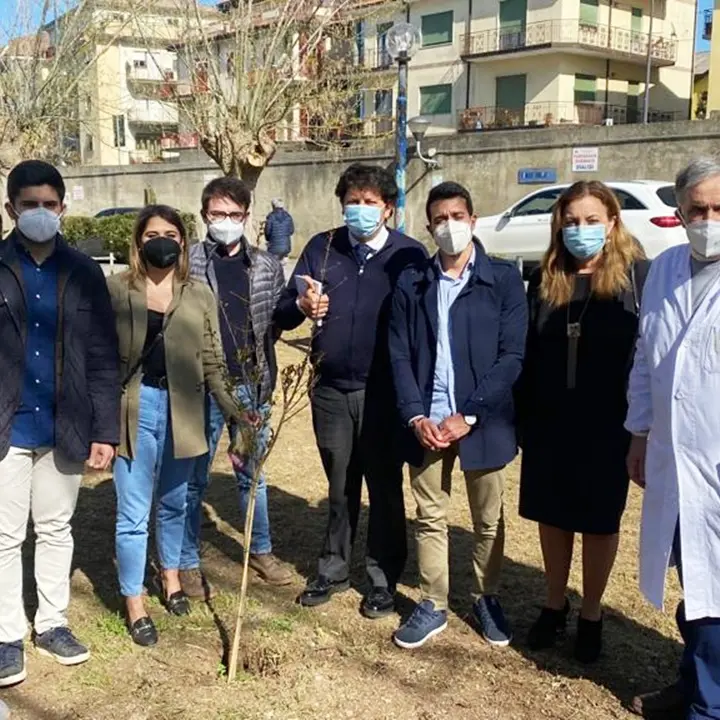 Covid, allo Jazzolino di Vibo il settimo “Giardino della memoria”
