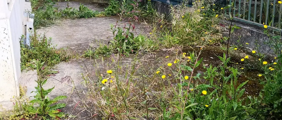 Vibo Marina, il M5S: «La delegazione comunale cade a pezzi»