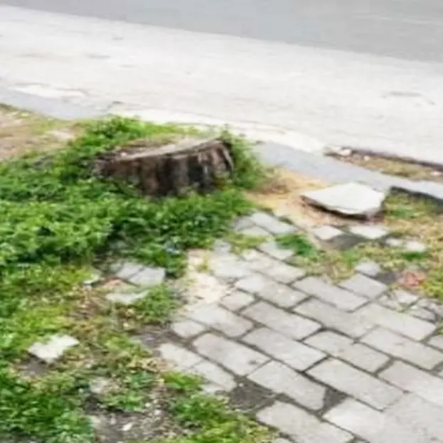 Insidie e pericoli in via Dante Alighieri, Vibo democratica: «Cosa si aspetta ad intervenire?»