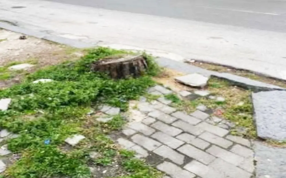 Insidie e pericoli in via Dante Alighieri, Vibo democratica: «Cosa si aspetta ad intervenire?»