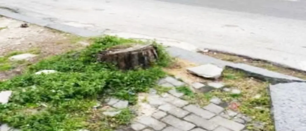 Insidie e pericoli in via Dante Alighieri, Vibo democratica: «Cosa si aspetta ad intervenire?»