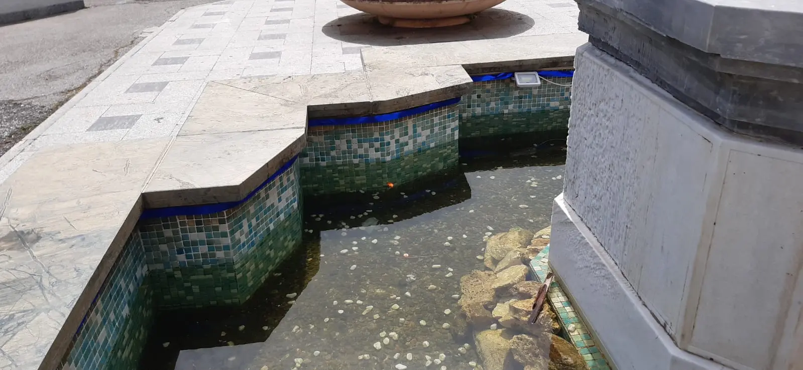 Pesci rossi uccisi a Vibo, la Pro loco \"ripopola\" la vasca