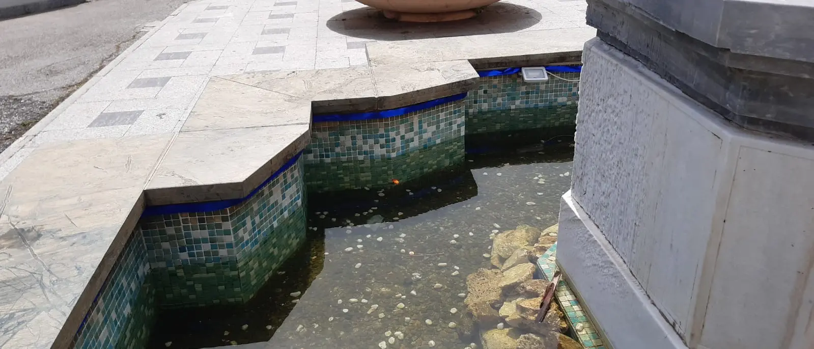 Pesci rossi uccisi a Vibo, la Pro loco \"ripopola\" la vasca