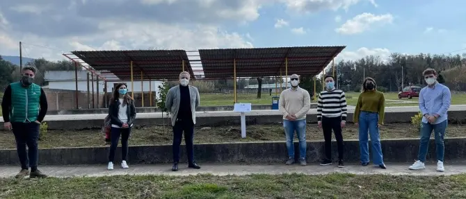 Ulivi in ricordo delle vittime Covid, il progetto dell’associazione Valentia a Cittanova