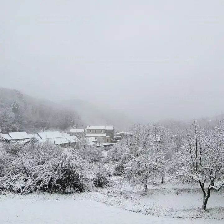 Neve sulle Serre vibonesi: la primavera debutta con fiocchi e gelo in tutta la Calabria