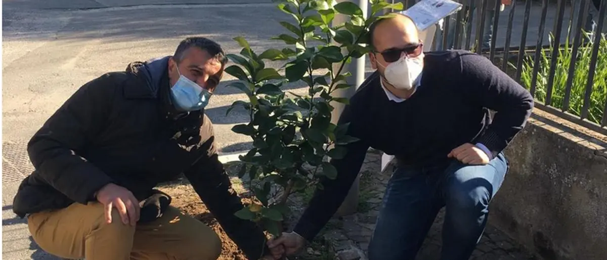 Zambrone ha il suo “giardino della memoria” in ricordo delle vittime del Covid
